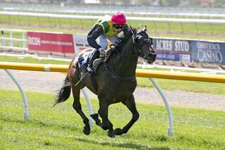 Well-bred The Chosen One (NZ) (Savabeel) makes it two from two in the Listed Zacinto Stakes.